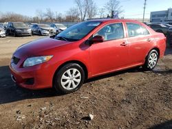 Vehiculos salvage en venta de Copart Chicago Heights, IL: 2010 Toyota Corolla Base