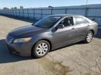 2007 Toyota Camry Hybrid