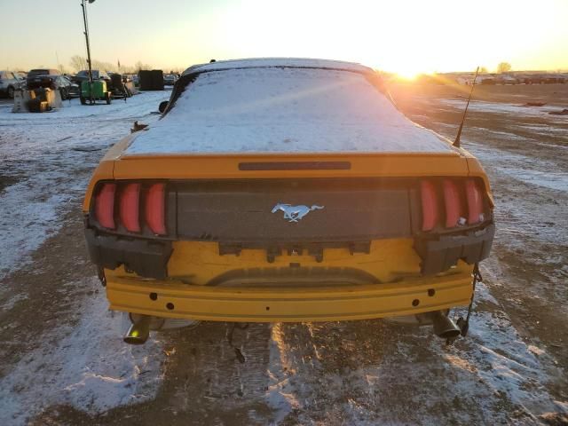 2019 Ford Mustang