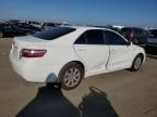 2009 Toyota Camry Hybrid