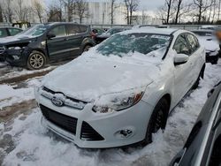 Salvage cars for sale from Copart Central Square, NY: 2013 Ford Focus SE