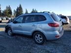 2007 Hyundai Santa FE GLS