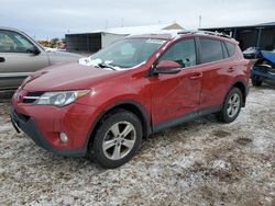 Salvage cars for sale from Copart Brighton, CO: 2013 Toyota Rav4 XLE