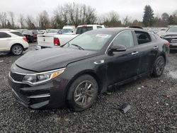 Salvage cars for sale at Portland, OR auction: 2016 KIA Optima LX