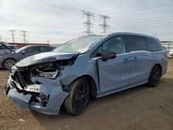 Salvage cars for sale at Elgin, IL auction: 2023 Honda Odyssey SPORT-L