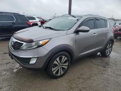 2013 KIA Sportage EX en venta en Indianapolis, IN