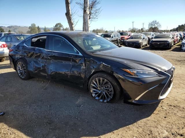 2024 Lexus ES 300H Base