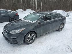 Salvage cars for sale from Copart Cookstown, ON: 2021 KIA Forte EX