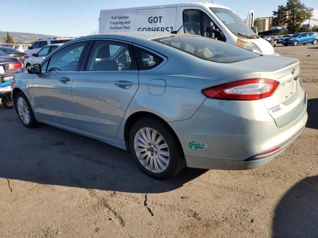 2013 Ford Fusion SE Phev