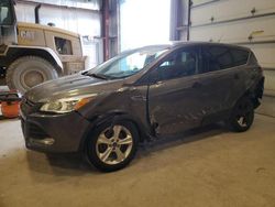 SUV salvage a la venta en subasta: 2014 Ford Escape SE