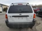 2007 Ford Escape XLT