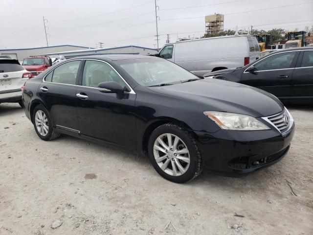 2010 Lexus ES 350