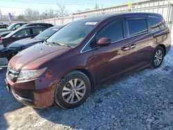 Salvage cars for sale at Walton, KY auction: 2017 Honda Odyssey EXL