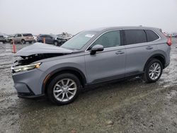 Salvage cars for sale at Antelope, CA auction: 2024 Honda CR-V EXL