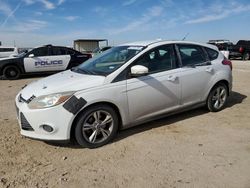 Salvage cars for sale at Amarillo, TX auction: 2014 Ford Focus SE