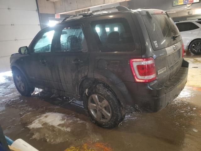 2008 Ford Escape Limited