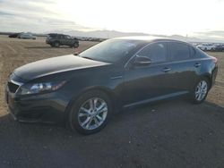 Salvage cars for sale at Adelanto, CA auction: 2013 KIA Optima LX