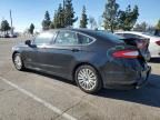 2015 Ford Fusion SE Hybrid