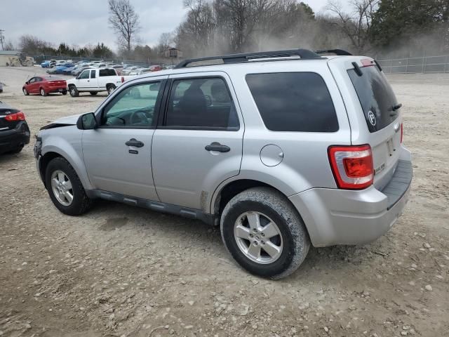 2011 Ford Escape XLT