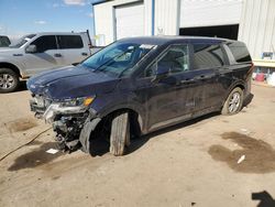 2024 KIA Carnival LX en venta en Albuquerque, NM