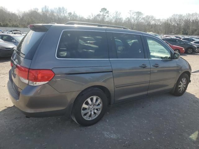 2010 Honda Odyssey EXL