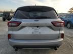 2023 Ford Escape ST Line