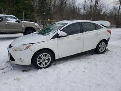 Salvage cars for sale at Northfield, OH auction: 2012 Ford Focus SEL