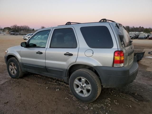 2005 Ford Escape XLT