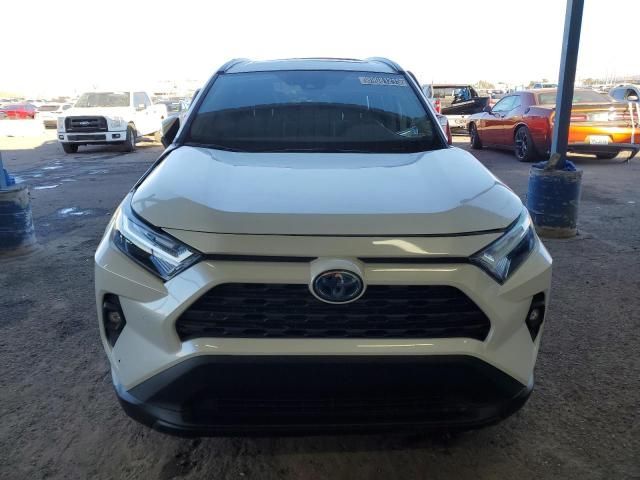 2024 Toyota Rav4 XLE Premium