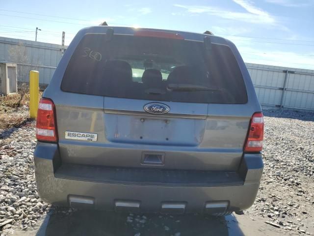 2011 Ford Escape XLT