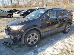 Honda cr-v ex Vehiculos salvage en venta: 2019 Honda CR-V EX