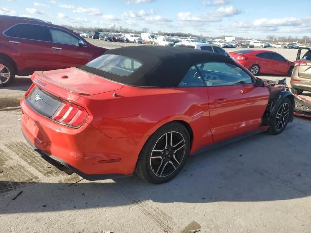 2019 Ford Mustang