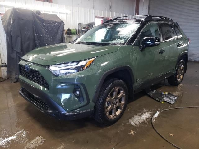 2024 Toyota Rav4 Woodland Edition