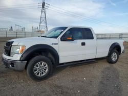 Salvage trucks for sale at Adelanto, CA auction: 2013 Ford F150 Super Cab