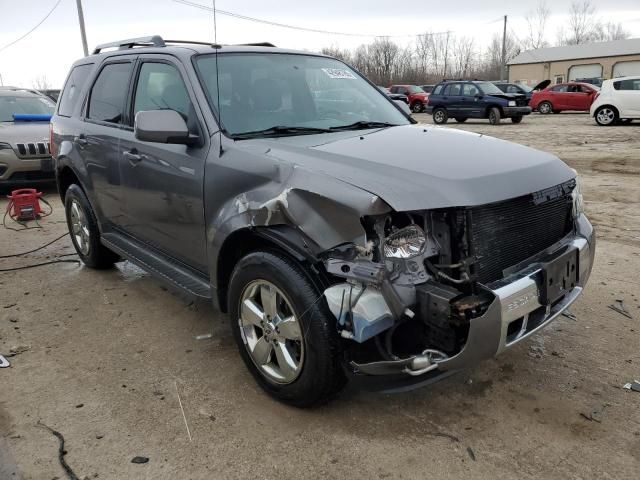 2011 Ford Escape Limited