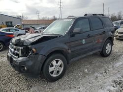 2011 Ford Escape XLT en venta en Columbus, OH