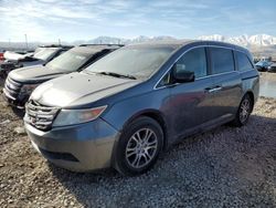 Salvage cars for sale at Magna, UT auction: 2011 Honda Odyssey EXL