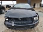 2005 Ford Mustang