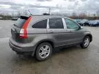 2010 Honda CR-V EXL