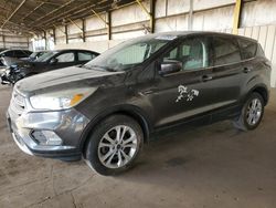 Ford Escape salvage cars for sale: 2017 Ford Escape SE