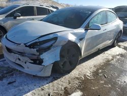 Salvage cars for sale at Littleton, CO auction: 2023 Tesla Model 3