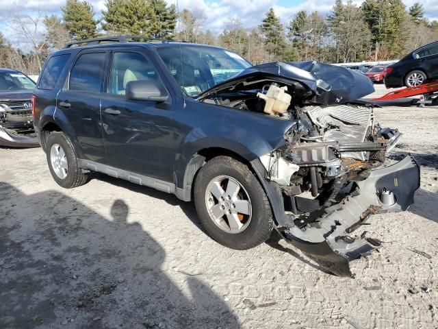 2009 Ford Escape XLT