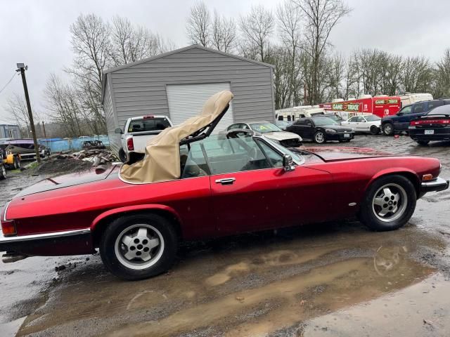 1988 Jaguar XJS