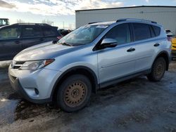 Toyota salvage cars for sale: 2013 Toyota Rav4 LE