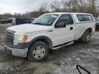 2009 Ford F150