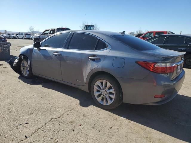 2013 Lexus ES 300H