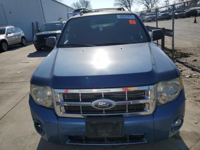 2010 Ford Escape XLT