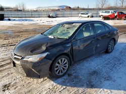 Salvage cars for sale at Columbia Station, OH auction: 2017 Toyota Camry Hybrid