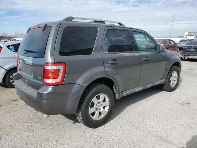 2011 Ford Escape Limited