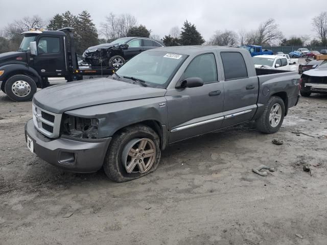 2010 Dodge Dakota SXT